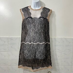 Bcbgmaxazria Lace Sheer Sheath Dress Romantic Whimsigoth Fairy Grunge Baddie XS